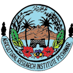 Untitled design - 2025-12-05T125852.975