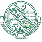 Untitled design - 2025-12-05T125959.361