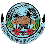 Untitled design - 2025-12-05T131838.410