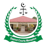 Untitled design - 2025-12-05T131936.809