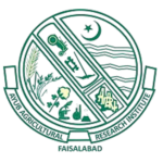 Untitled design - 2025-12-05T132109.178