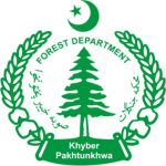 Untitled design - 2025-12-05T132155.606