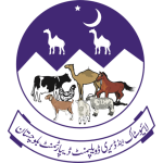 Untitled design - 2025-12-05T132655.940